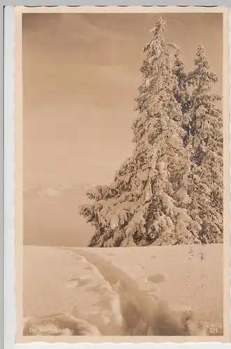 (88781) Foto AK Rettenberg Allgäu, Skigebiet a. Grünten im Winterkleide, 1934