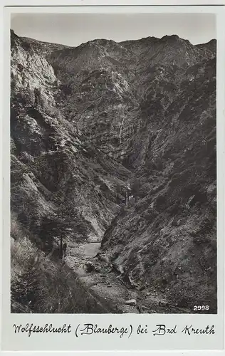 (88762) Foto AK Wolfsschlucht bei Bad Kreuth, vor 1945