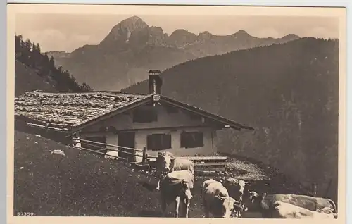 (84900) Foto AK Schellenbergalm, vor 1945