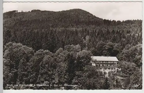 (82630) Foto AK Neukirchen beim Hl. Blut, Gasthof Waldschlößl 1964