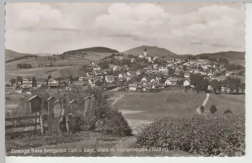 (82626) Foto AK Bayer. Wald, Lam, Hohenbogen, Totenbretter, n. 1945