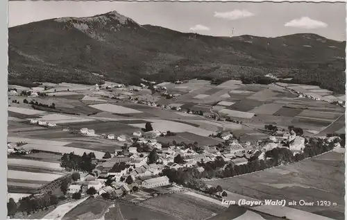 (82625) Foto AK Bayer. Wald, Lam, Panorama, Großer Osser 1961-71