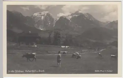 (8258) Foto AK Schönau am Königssee, Hoher Göll, Kuhhirte, vor 1945