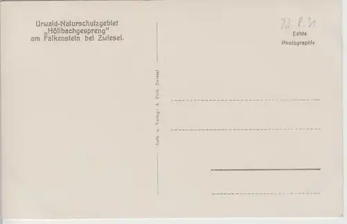 (81821) Foto AK Zwiesel, Höllbachgespreng am Falkenstein, 1931