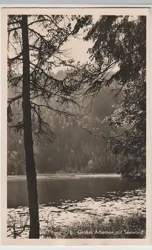 (81062) Foto AK Großer Arbersee mit Seewand 1954