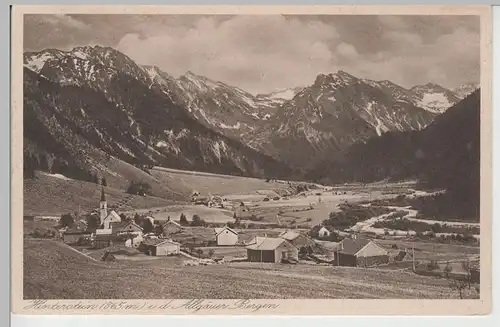 (79358) AK Hinterstein, Allgäuer Alpen, Panorama 1928