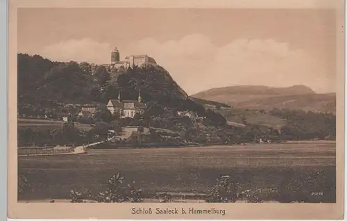 (75101) AK Schloss Saaleck bei Hammelburg, vor 1945