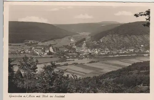 (71207) Foto AK Gemünden am Main, Blick ins Saaletal