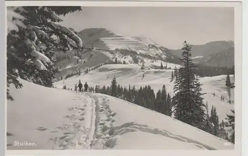 (68278) Foto AK Stuiben, Alperhöhe b. Immenstadt im Winter, 1931