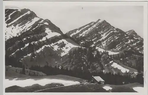 (68238) Foto AK Mittelberg, Bergwirtschaft Alpe m. Hochgratgruppe, 1929