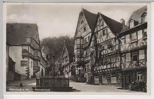 (66144) Foto AK Miltenberg am Main, Schnaiterloch, 1937