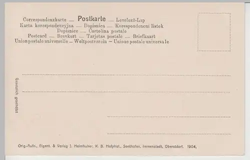 (66126) AK Gruss vom Nebelhornhaus, 1904
