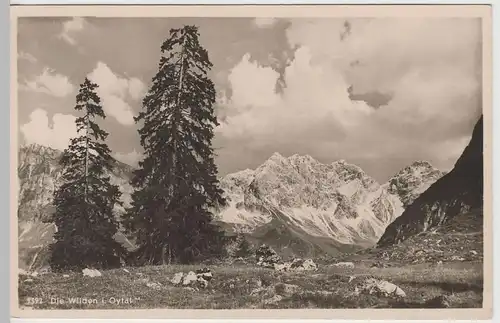 (66046) Foto AK Oytal, Blick zu den Wilden, 1942