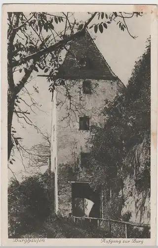 (65938) AK Burghausen, Aufgang zur Burg