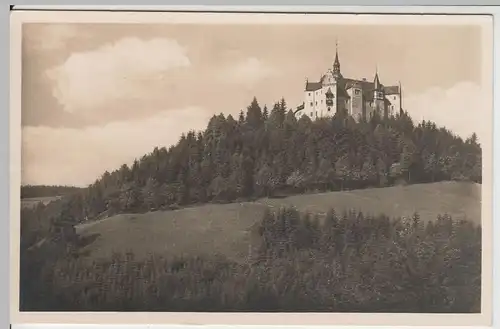 (63933) Foto AK Burg Lauenstein (Frankenwald) vor 1945