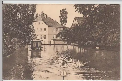 (59861) AK Bad Kissingen, Partie beim Liebfrauenteich 1908