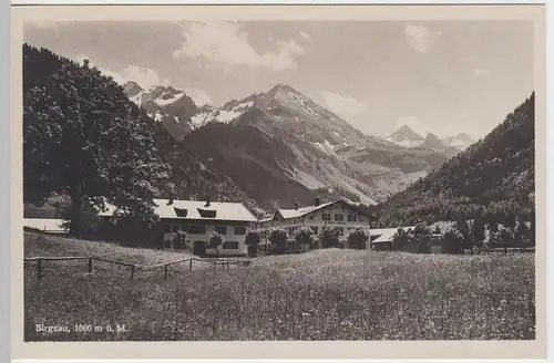 (53902) Foto AK Birgsau, Panorama