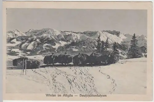 (51828) AK Heuschlitten im Allgäu, Winter, vor 1945
