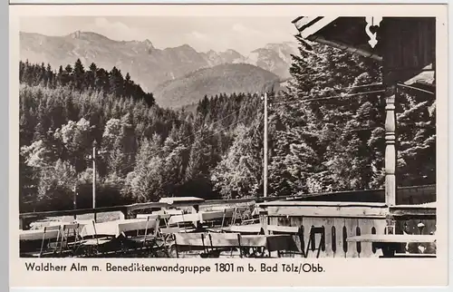 (51324) Foto AK Bad Tölz, Waldherr Alm m. Benediktenwandgruppe