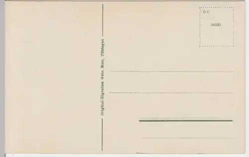 (5110) AK Hinterstein, Bad Hindelang, Panorama, vor 1945