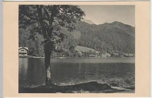 (4206) AK Thumsee 1928