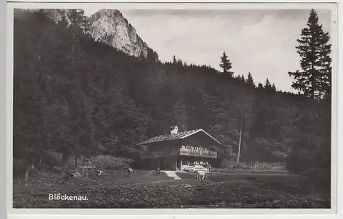 (40706) Foto AK Blöckenau, Berggasthaus Bleckenau, vor 1945