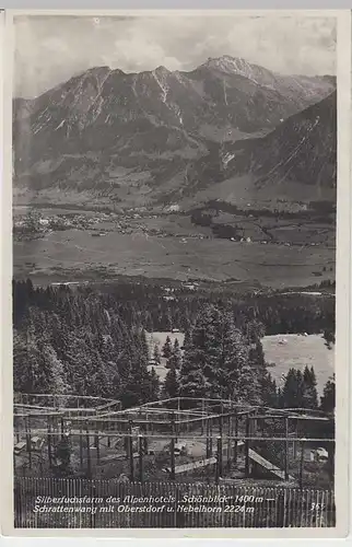 (32363) Foto AK Oberstdorf, Alpenhotel "Schönblick", Silberfuchsfarm