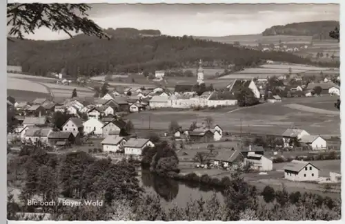 (2948) Foto AK Blaibach, Panorama nach 1945