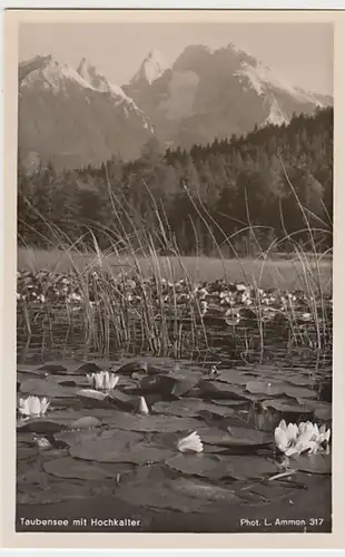(22070) Foto AK Taubensee mit Hochkalter, vor 1945