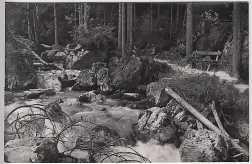 (22067) Foto AK Ramsau bei Berchtesgaden, Zauberwald 1953