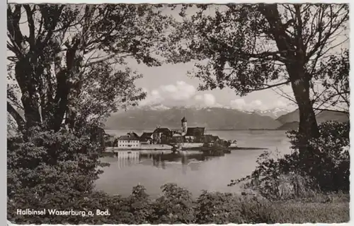 (16951) Foto AK Wasserburg (Bodensee) 1957