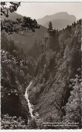 (15634) Foto AK Weißbachschlucht bei Mauthäusl 1969