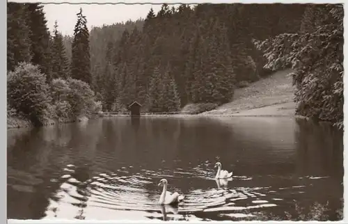 (14174) Foto AK Rodachtal, Kleiner Waldsee, nach 1945