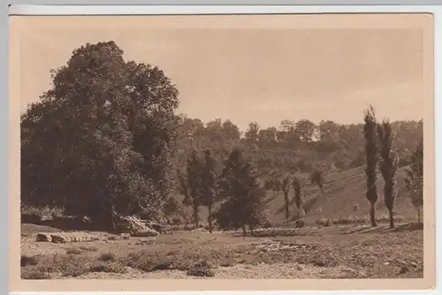 (13358) AK Taubertal, vor 1945