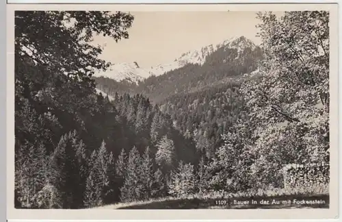 (13239) Foto AK Fockenstein, Blick vom "Bauer in der Au" 1935