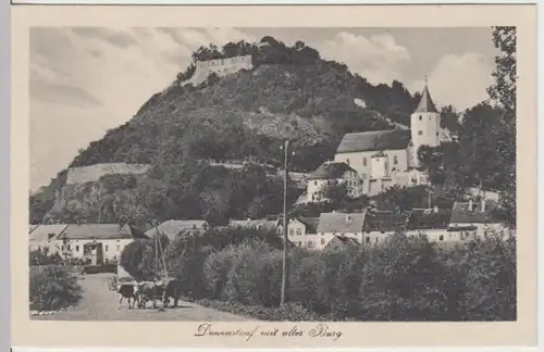 (11622) AK Donaustauf, Burg, vor 1945