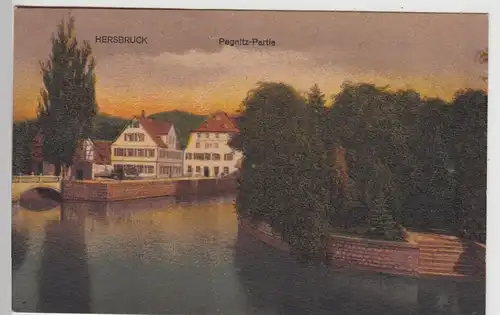 (115441) AK Hersbruck, Pegnitz Partie 1921