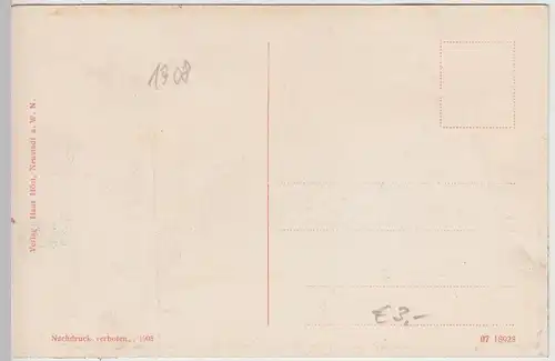 (114297) AK Neustadt an der Waldnaab, Neues Schloss 1908