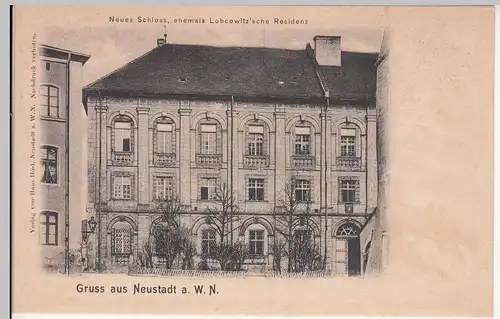 (114296) AK Neustadt an der Waldnaab, Neues Schloss um 1908
