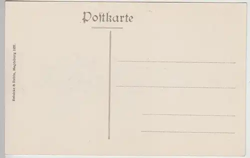 (114288) AK Passau, Ludwigstraße 1907