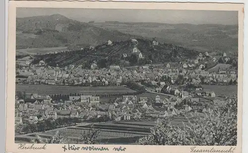 (114041) AK Hersbruck, Panorama 1943