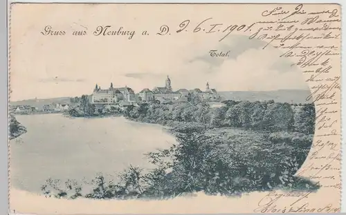 (113880) AK Gruß aus Neuburg an der Donau, Panorama 1901