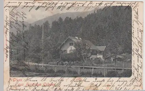 (113093) AK Gruss aus Forsthaus Griesen, 1902