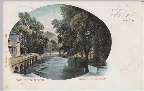 (113038) AK Bad Kissingen, Saalepartie m. Bodenlaube 1902