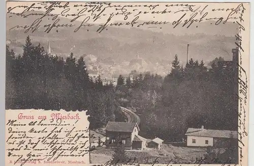 (112862) AK Gruss aus Miesbach, Totale 1901