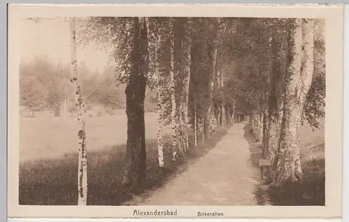 (112383) AK Bad Alexandersbad, Birkenallee, aus Leporello, vor 1945