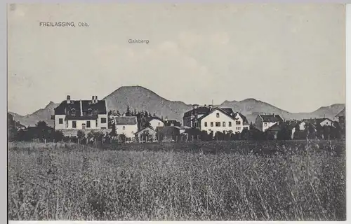 (111951) AK Freilassing, Panorama mit Gaisberg 1910er