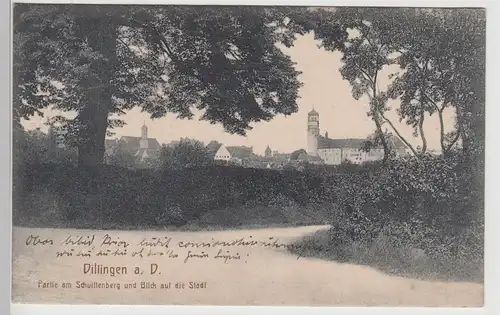 (111838) AK Dillingen, Donau, Blick auf die Stadt 1928