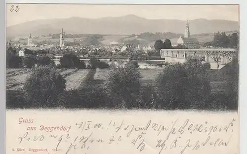 (111472) AK Gruß aus Deggendorf, Panorama, Brücke 1900