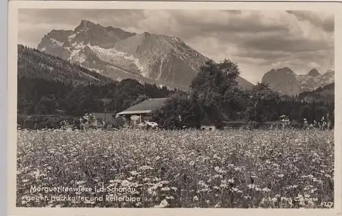 (109904) Foto AK Schönau, Margeritenwiese, Hochkalter, Reiteralpe 1934